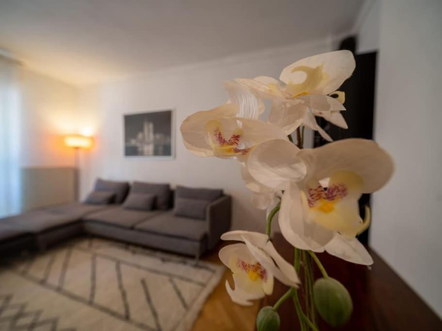 Appartement Climatise Tout Equipe A Cote Du Stade Velodrome Marseilles Buitenkant foto